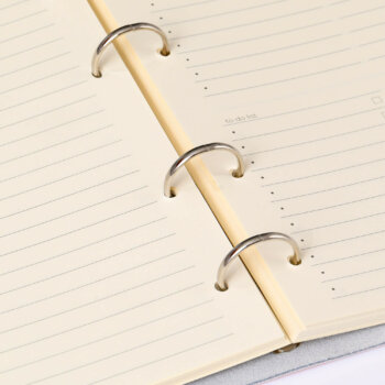 Agendӑ 2025 Red Amour Piele naturalӑ A5