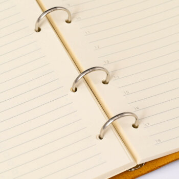 Agendă 2025 Brown Whisky Piele naturală A5